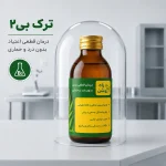 ترک بی 2